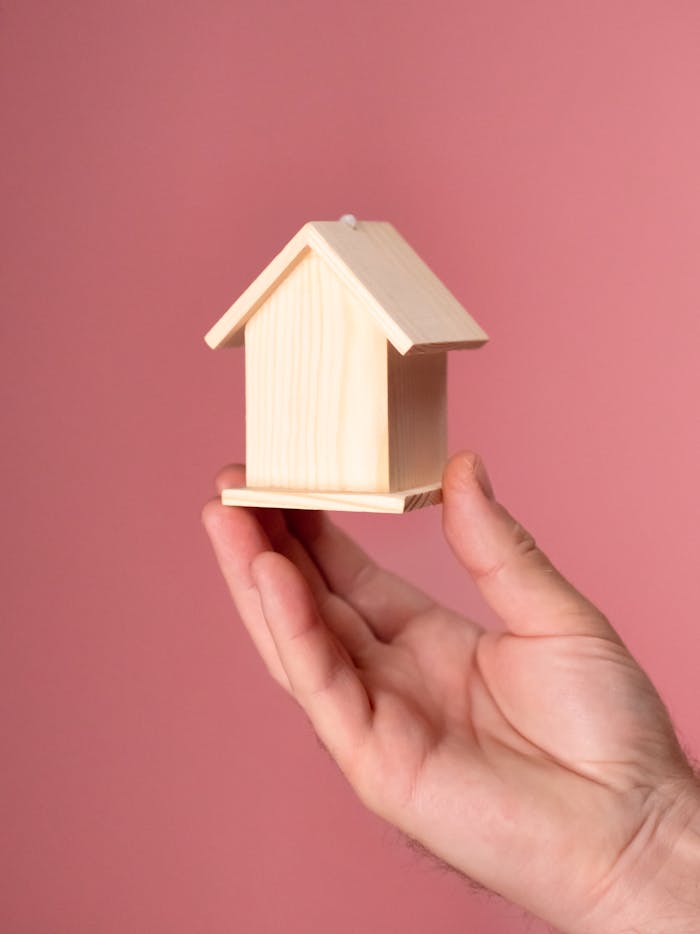 Property survey