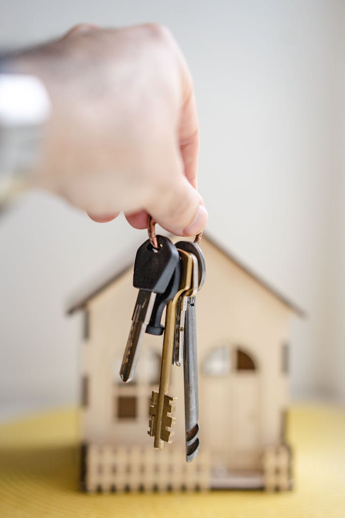 Building permissions